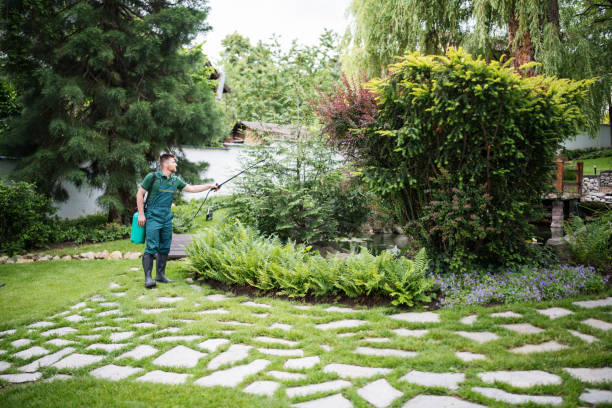 Best Residential Pest Control  in Cottonwood, CA