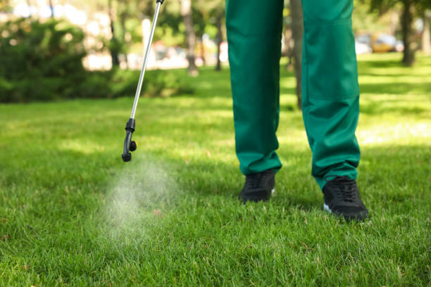  Cottonwood, CA Pest Control Pros