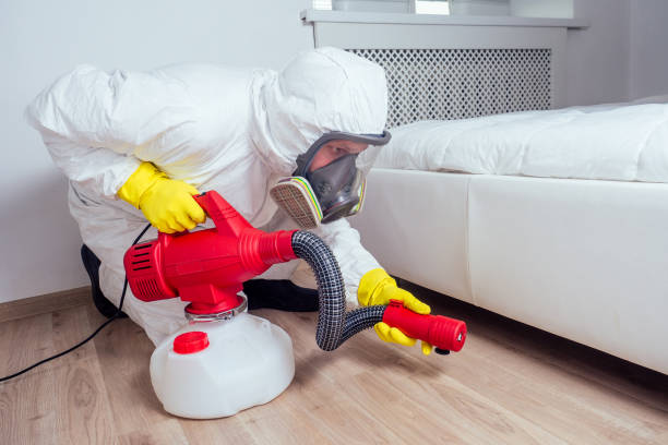 Best Pest Control Near Me  in Cottonwood, CA