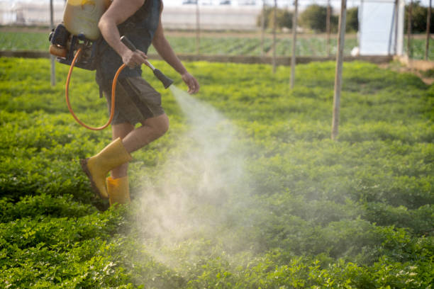 Best Pest Prevention Services  in Cottonwood, CA