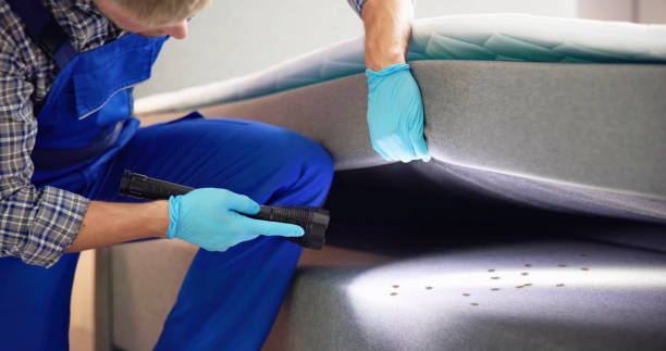 Best Bed Bug Extermination  in Cottonwood, CA
