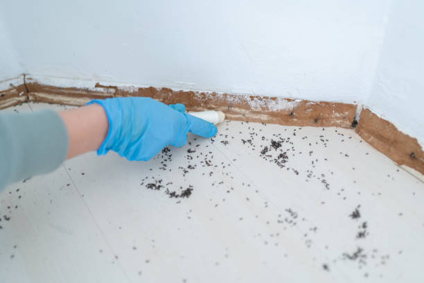Pest Control Cost in Cottonwood, CA