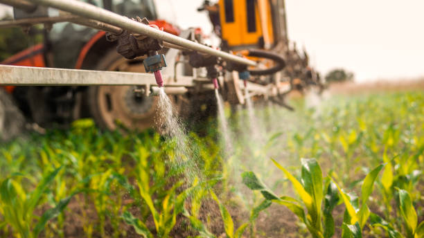 Best Commercial Pest Control Services  in Cottonwood, CA