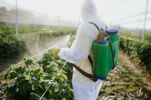 Best Rat Extermination Near Me  in Cottonwood, CA